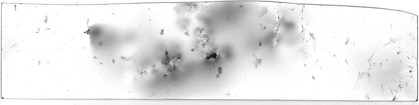 My photographic paper reacted with radiation.